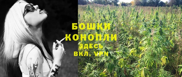 дмт Володарск
